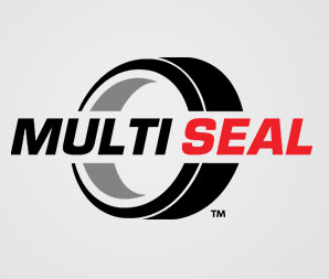 Multi Seal